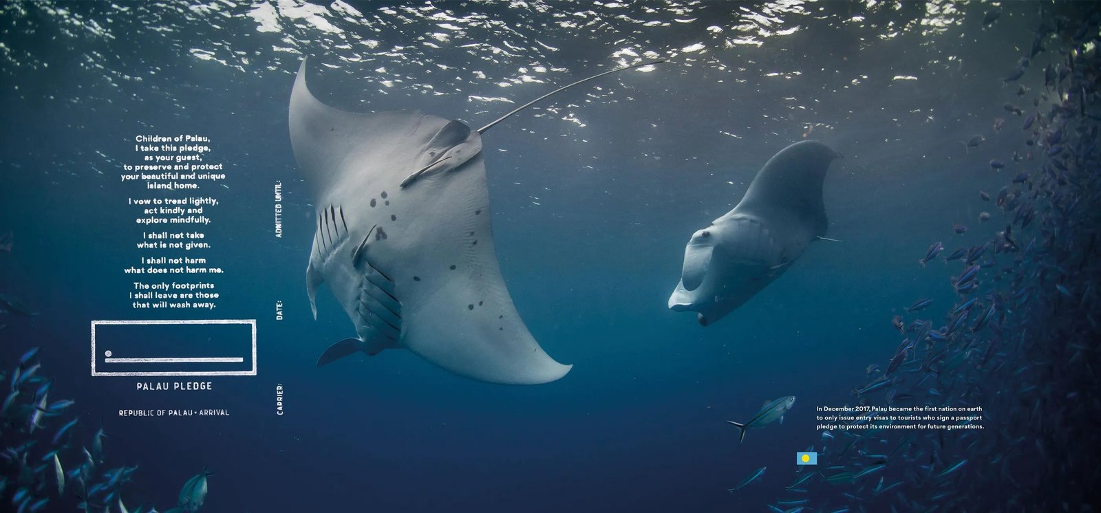 Palau Pledge, manta rays